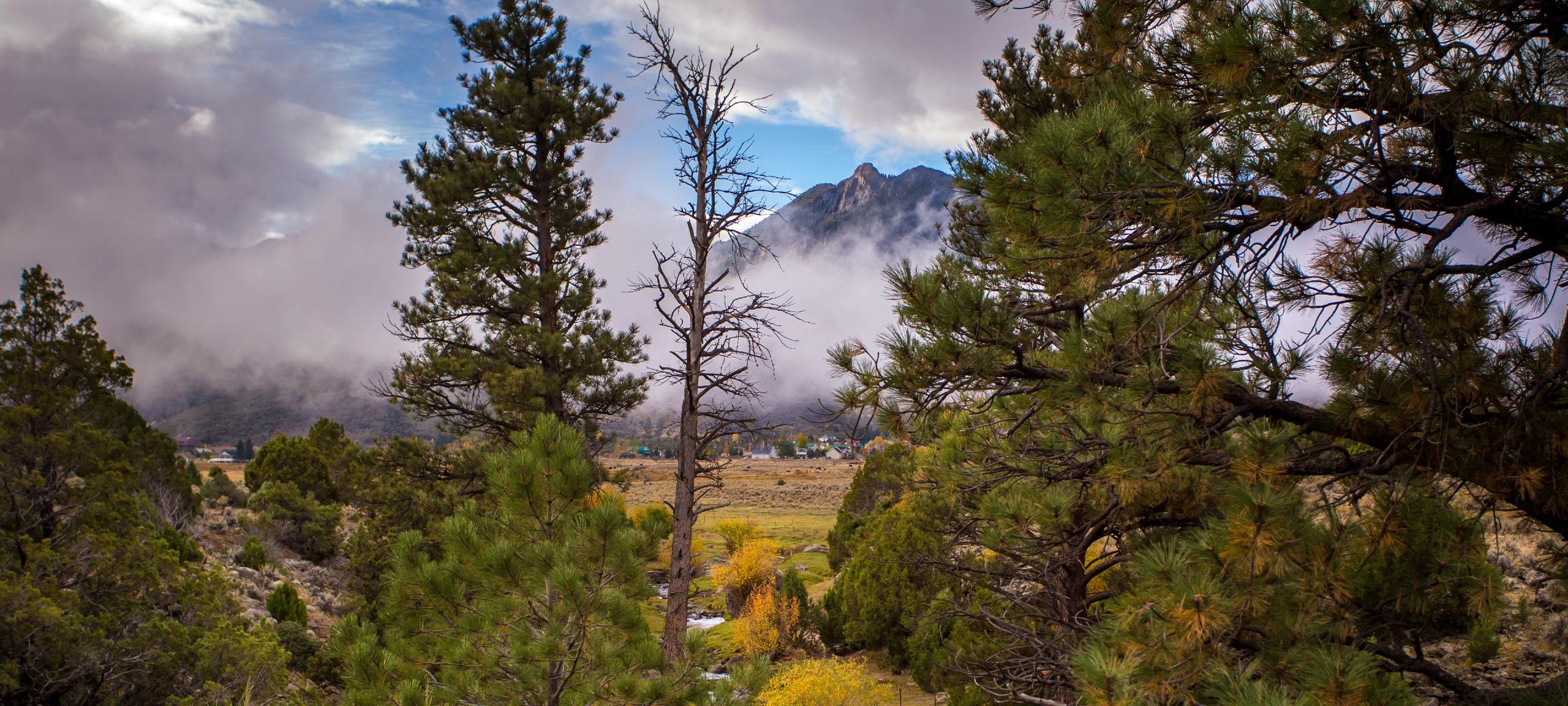 View of trees and mountains in Pine Valley, Utah